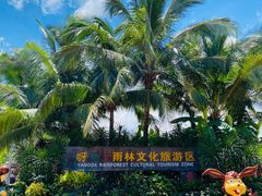 -呀诺达热带雨林