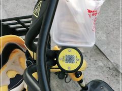 -正宗忘不了老鹅(梅岭店)