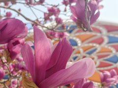 -斯普瑞斯奥特莱斯