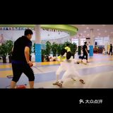 耐心永远是一种美德 是爱的表现，是教育教学成功的保障