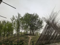 -268童话露营农场·烧烤·团建