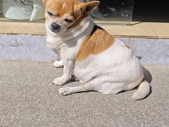 -阿妹小海鲜(下角店)