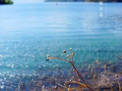 -丽江泸沽湖景区-里格半岛