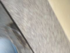 -陈添記·祖傳爽鱼皮·西关老字号(广州首店)