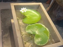 -双季花艺园艺市场(浦东店)
