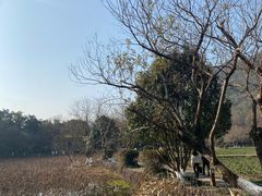 -八卦田遗址公园