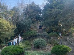 -紫金山天文台