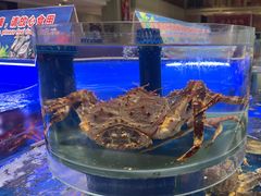 -新海渔港·胶东海鲜家常菜·家宴(奥体中心店)