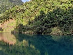 -大奇山国家森林公园