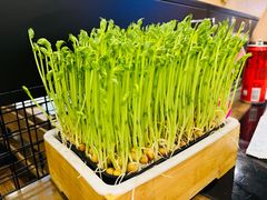 豌豆苗-常赢三兄弟·清真涮肉(崂山路总店)