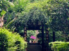 -峨眉山报国寺