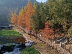 -白水寺森林公园