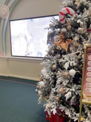 -奈尔宝·儿童乐园·亲子餐厅(华采天地店)