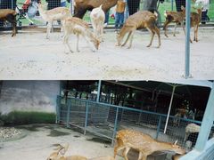 -宁波野生动物园