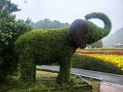 -广州市石门国家森林公园