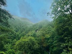 -苍山感通索道
