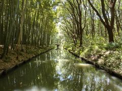 -同里国家湿地公园