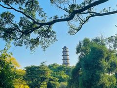 -江心屿景区