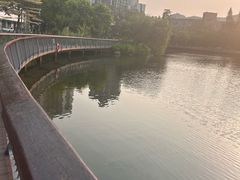 -四海公园(南山区)