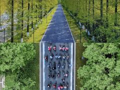 -黄海国家森林公园