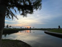 -春花秋色城市公园