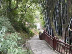 -天鹿湖森林公园