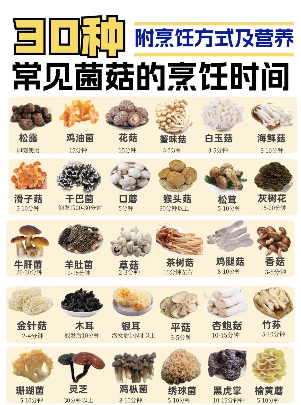 常见菌子图鉴