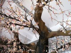 -莫山小馆(百花店)