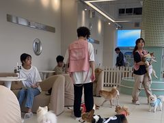 -怪兽屋·羊驼·猫咖·狗咖(俊华广场店)