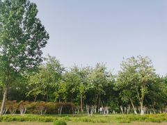-西安浐灞国家湿地公园