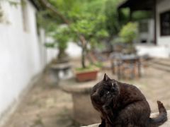-西园戒幢律寺