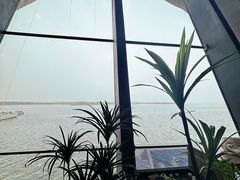 -抱抱地球咖啡馆(国家海洋博物馆店)