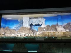 -成都浩海立方海洋公园