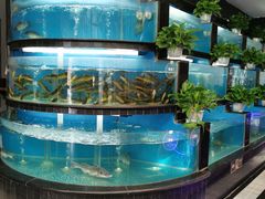 水产区-王家渡火锅店(棕榈泉店)