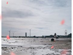 -奉贤海滩