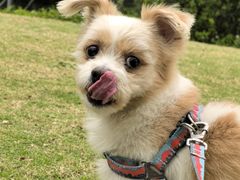 -热浪岛马来餐厅