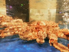 -金鹰超市(国际购物中心新街口店)