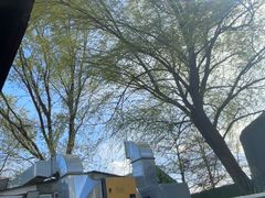 -尚庄度假村·庭台树下·户外烧烤·团建CS·轰趴营地(上庄水库店)
