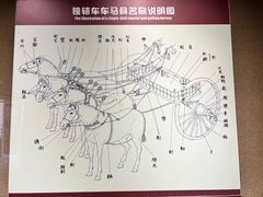 -洛阳周王城天子驾六博物馆