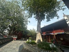 -长春观