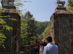 -磐安舞龙峡景区