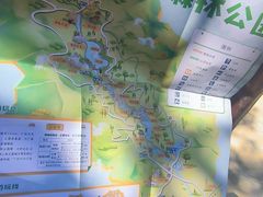 -广州白江湖森林公园