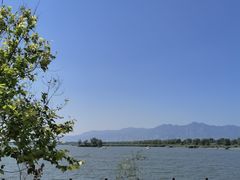 -野鸭湖国家湿地公园