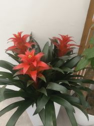 -和颜一美轻医美连锁