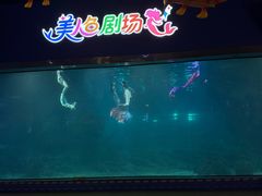 -福州罗源湾海洋世界旅游区