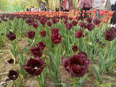 -长春公园(普阳街道)