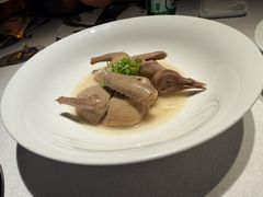 -子福慧(虹桥店)