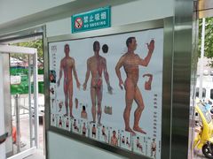 -孟氏拔罐(纬一路店)