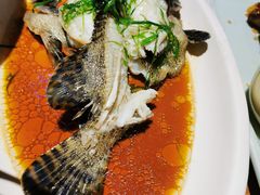 -鑫阿强海鲜大排档·老厦门特色菜(中山路店)