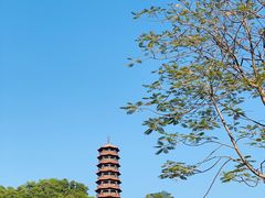 -红花山公园